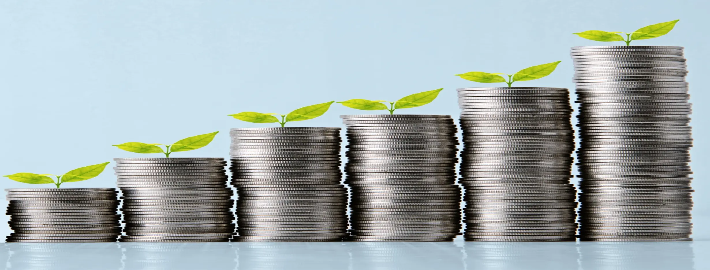 Image for Economic Growth